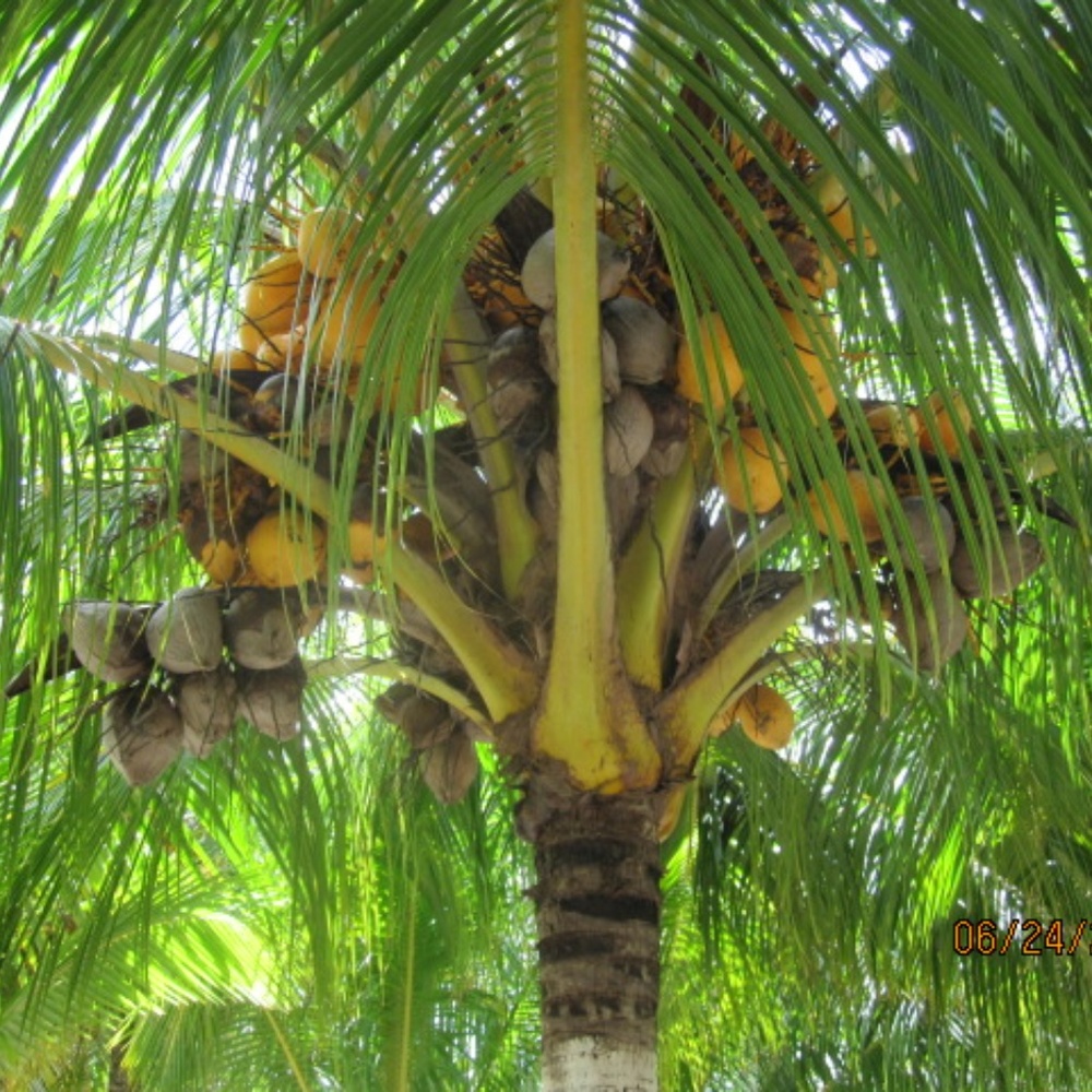 Meet your Posher, Cathy